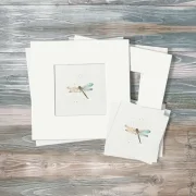 Passepartouts in verschiedenen Größen