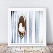 KunstdruckKunstdruck Maritimes Wandbild Möwe im Bullauge mit blauen Streifen Wandbild Möwe im Bullauge im weißen Bilderrahmen