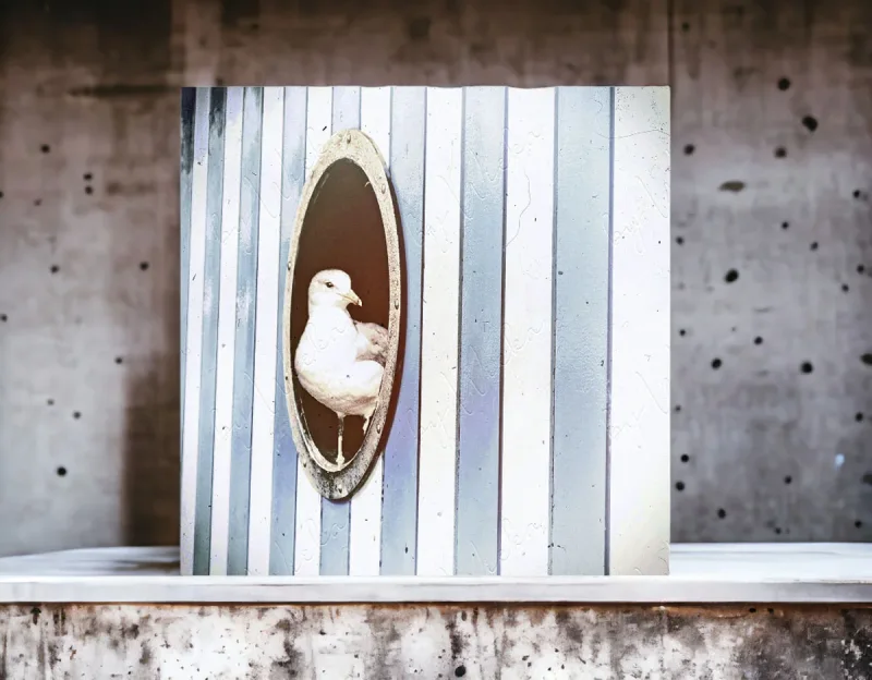 Maritimes Wandbild Holzdruck Möwe im Bullauge mit blauen Streifen