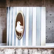 Maritimes Wandbild Holzdruck Möwe im Bullauge mit blauen Streifen