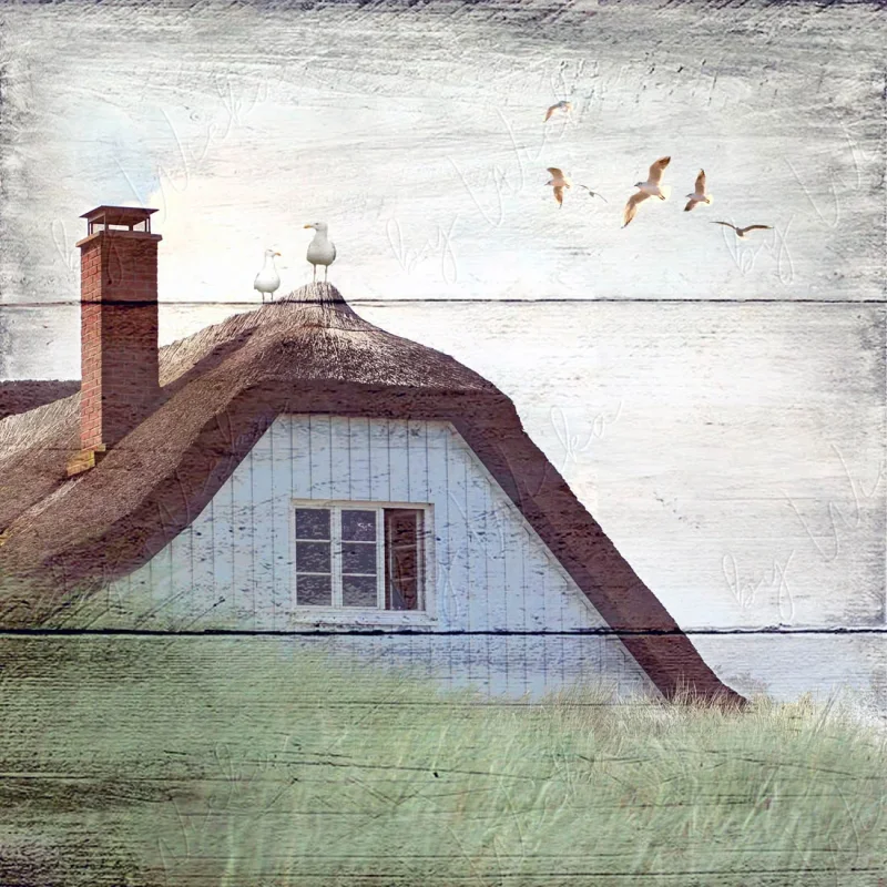 Maritimes Wandbild Fischerhütte auf dem Darß im rustikalen Shabby Chic Landhausstil