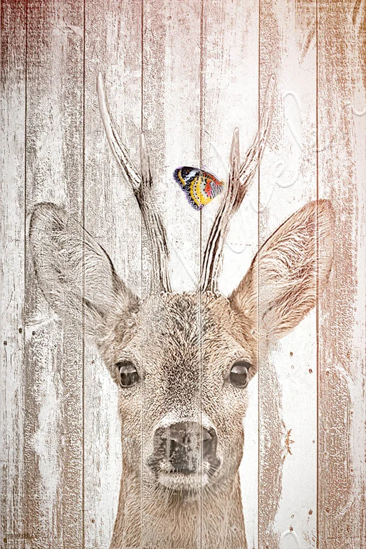 Wandbild Waldtiere - Hirsch mit Schmetterling im Shabby Chic, Landhausstil günstig kaufen