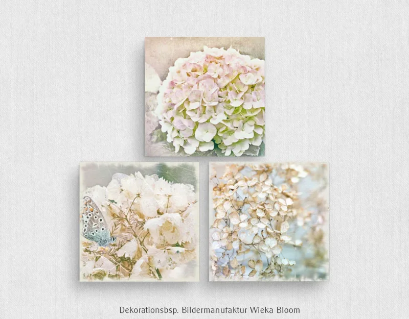 Hortensien - Blumen, Wandbilder Triptychon, auf Leinwand im Shabby Chic Landhausstil