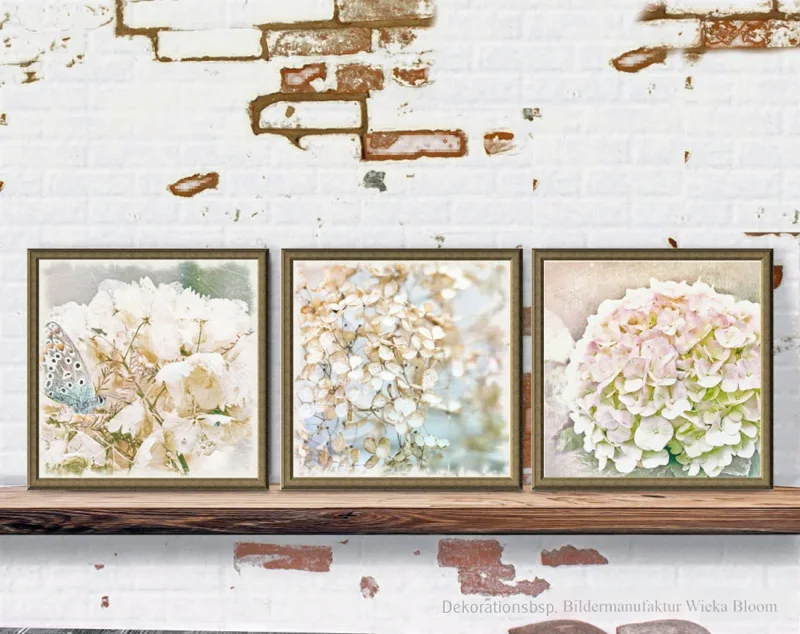 Hortensien - Blumen, Wandbilder Triptychon, Kunstdrucke Poster im Shabby Chic Landhausstil