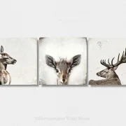 Hirsch u Reh - Waldtiere, Kollektion, Wandbilder im Shabby-Chic Landhausstil  als  Leinwanddruck