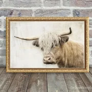 Hochlandrind - Wandbild im Shabby Landhausstil als Kunstdruck Poster kaufen