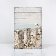 Möwe am Meer, maritimes Wandbild Darßer Sommer im Shabby Chic, Landhausstil , Vintage Style Kunstdruck