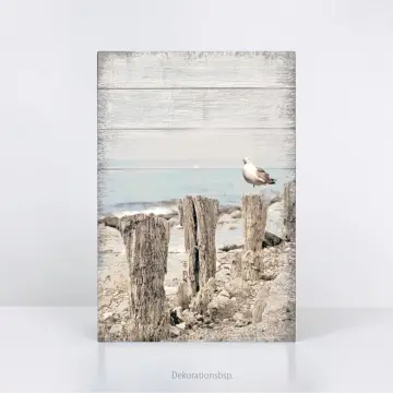 Möwe am Meer - Maritimes Wandbild im Shabby-Chic Landhausstil