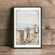 Möwe am Meer, maritimes Wandbild Darßer Sommer im Shabby Chic Landhausstil als Kunstdruck