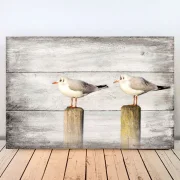 Möwen, Wandbild Darßer Sommer im Shabby Chic, Landhausstil , Vintage Style als Holzdruck