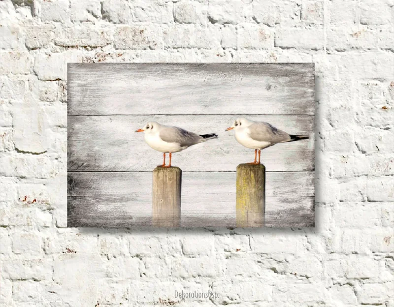 Möwen, Wandbild Darßer Sommer im Shabby Chic, Landhausstil , Vintage Style als Leinwandbild