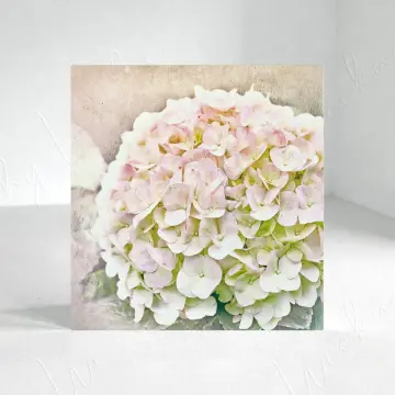 Wandbild - Hortensie, Blüten in Pastell, Landhausstil