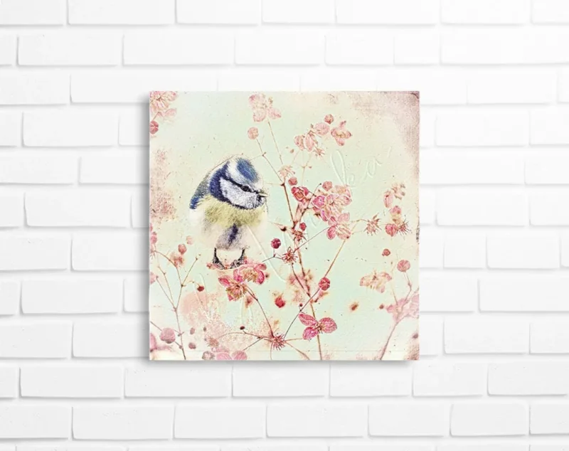 Wandbild, kleiner Vogel, Blaumeise auf Blüten, Leinwandbild im Landhausstil