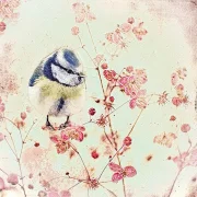 Wandbild, kleiner Vogel, Blaumeise auf Blüten im Landhausstil