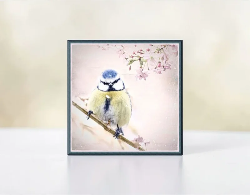 Wandbild Blaumeise, Vogel im Shabby Chic Landhausstil