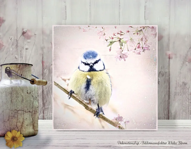 Wandbild Blaumeise Vogel im Shabby Chic Landhausstil als Holzdruck kaufen