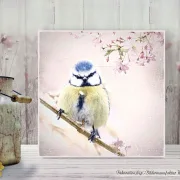 Wandbild Blaumeise Vogel im Shabby Chic Landhausstil als Holzdruck kaufen
