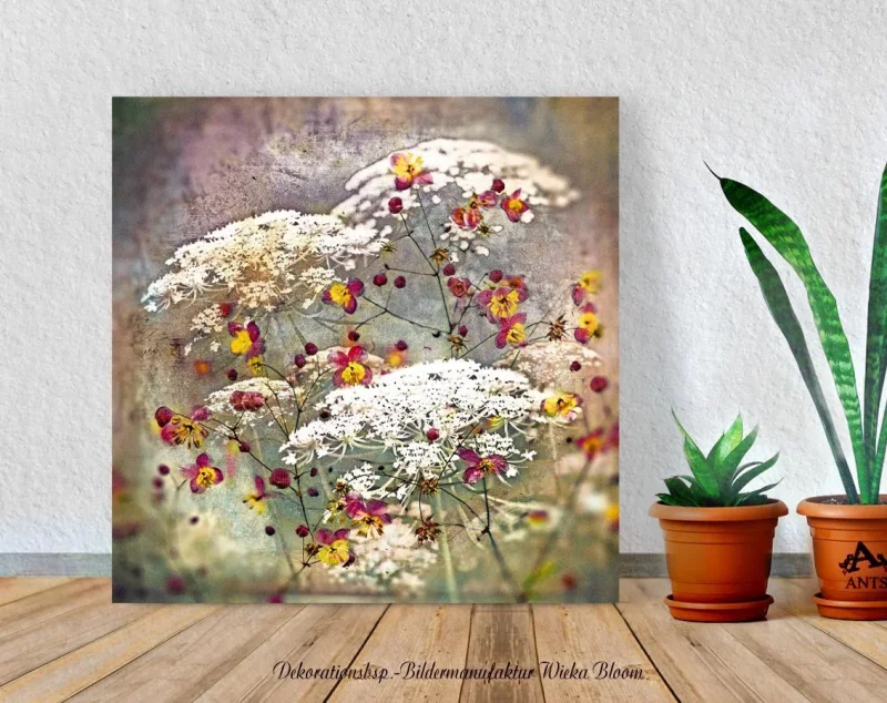 Carota, Karotten Blüten, Leinwandbild, Wandbild im Shabby Chic, Landhausstil