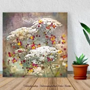 Carota, Karotten Blüten, Leinwandbild, Wandbild im Shabby Chic, Landhausstil