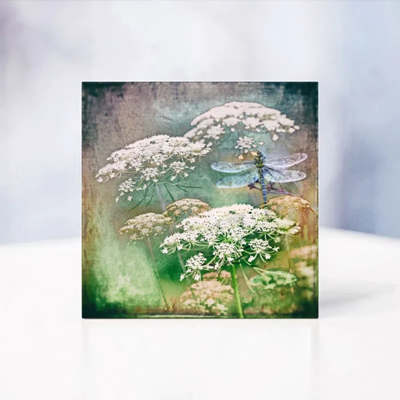 Carota, Karotten Blüten, Wandbild im Shabby Chic, Landhausstil