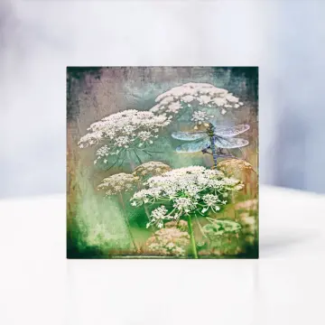 Wandbild - Karottenblüte mit Libelle im Shabby Landhausstil