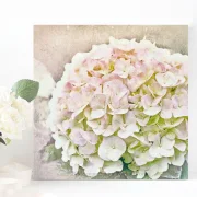 Hortensie - Blüten in Pastell, Wandbild auf Holz im Vintage Style, Shabby Chic, Landhausstil kaufen