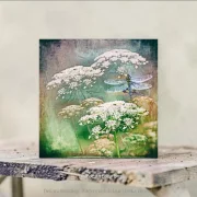 Karottenblüten mit Libelle, Wandbild als Holzdruck im Shabby Chic, Landhausstil