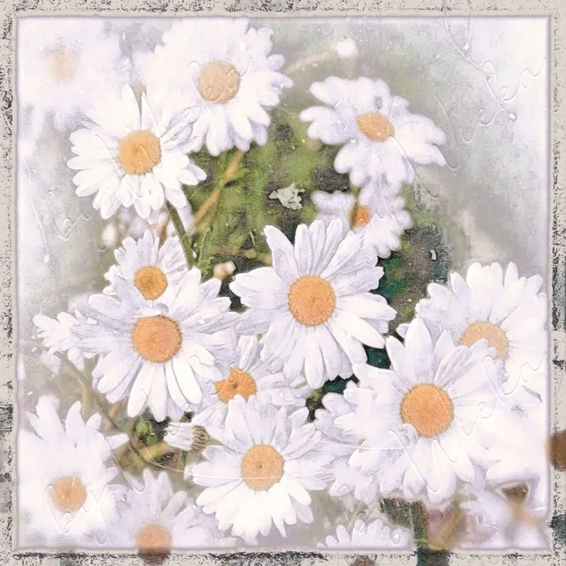 Wandbild Blumen Gänseblümchen im Vintage Style, Shabby Chic, Landhausstil günstig kaufen