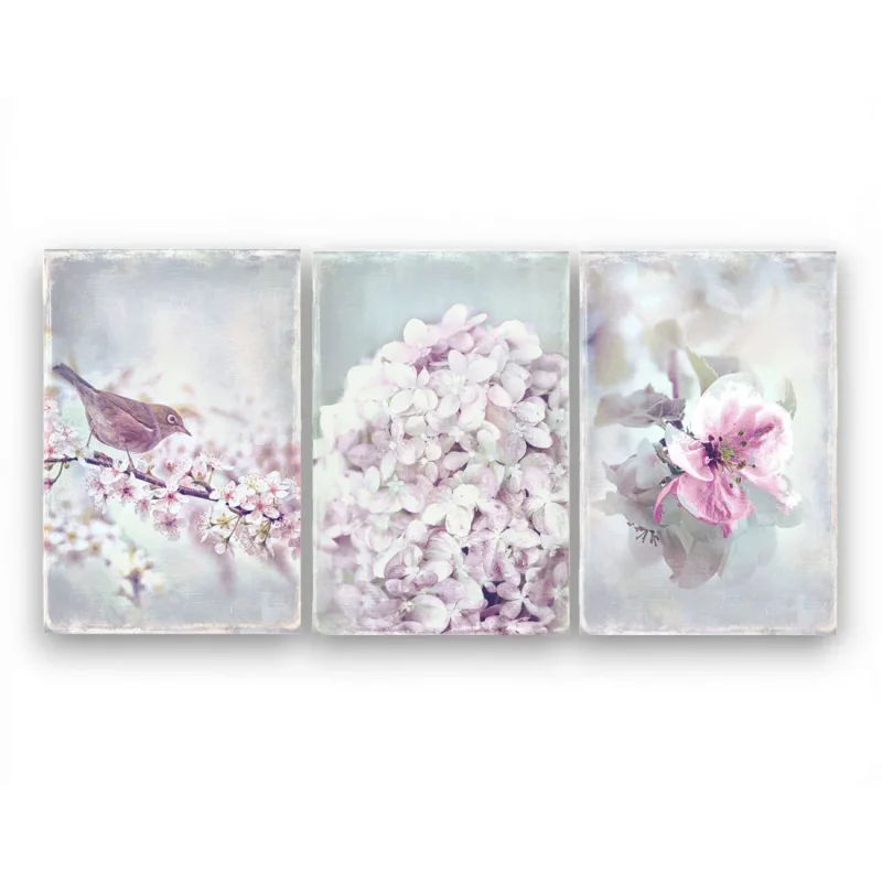 Wandbild, Set Blumen & Vogel im romantischen Shabby Chic