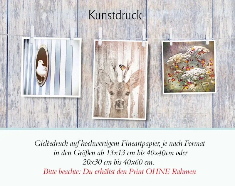 Variante Kunstdruck Poster günstig kaufen