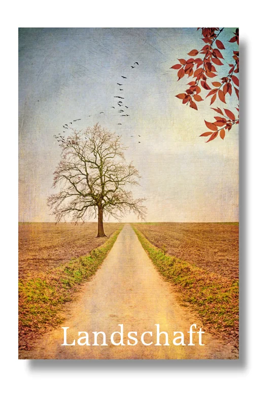 Landschaft, Wandbilder auf Leinwand, Holz, Kunstdruck
